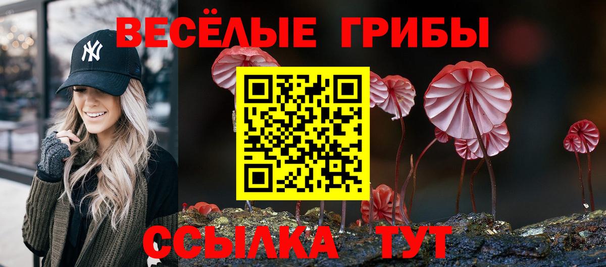 Галлюциногенные грибы ЛСД  Вход с VPN  Жигулёвск  Галлюциногенные грибы мухоморы 